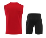 Bayern Munich Pre-Match Training Kit 2022-23
