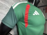 2026-27 Mens Algeria Special edition green Player soccer Jersey