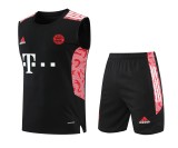 Bayern Munich Pre-Match Training Kit 2022-23