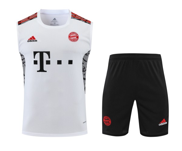 Bayern Munich Pre-Match Training Kit 2022-23