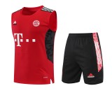 Bayern Munich Pre-Match Training Kit 2022-23