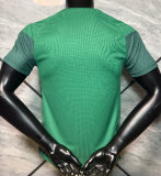 2026-27 Mens Algeria Special edition green Player soccer Jersey