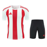 Adidas Striped 24 Training Set