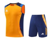 Adidas Tiro 24 Competition Sleeveless Training Set