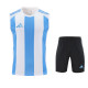 Adidas Striped 24 Sleeveless Training Set