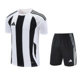 Adidas Striped 24 Training Set