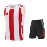 Adidas Striped 24 Sleeveless Training Set