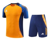 Adidas Tiro 24 Competition Training Set