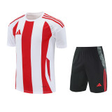 Adidas Striped 24 Training Set