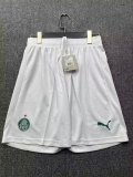 PUMA SE Palmeiras 2025 Home Player Shorts