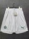 PUMA SE Palmeiras 2025 Home Player Shorts