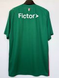 PUMA SE Palmeiras 2025 Home Authentic Jersey