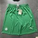 25/26 SE Palmeiras Home Soccer Shorts