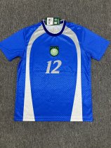 Palmeiras  Sao Marcos 12  Commemorative Jersey
