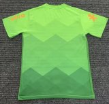 Nike Brazil National Team  Amazonia  Pre-Match Training Jersey