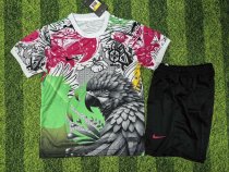 Nike Brazil National Team  Grey Macaw  Special Edition Soccer Jersey (Kids)