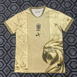 Brazil National Team  Arara Canindé  Special Edition Jersey