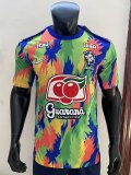 24/25 Brazil National Team Pre-Match Training Short Sleeve Jersey