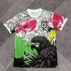 25/26 Brazil Special Edition Parrot Jersey