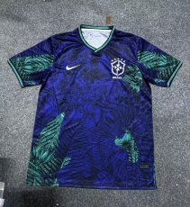 25/26 Brazil Special Edition Jersey