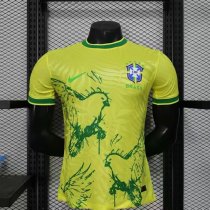 25/26 Nike Brazil Special Edition Home Authentic Jersey