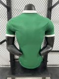 24/25 SE Palmeiras Home Player Version Jersey