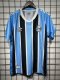 24/25 Grêmio FBPA Home Fan Version Jersey