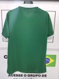 25 SE Palmeiras 110th Anniversary Special Edition Home Jersey