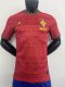 Brazil National Team x Jordan  Sangue da Terra  Authentic Jersey