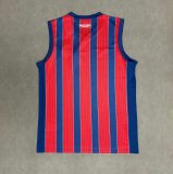Esporte Clube Bahia Sleeveless Training Jersey