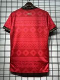Brazil National Team x Jordan  Sangue da Terra  Special Edition Jersey (Red Tapestry)