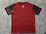 Brazil National Team x Jordan  Christ the Redeemer  Special Edition Jersey (Red)