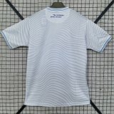 2025 Cruzeiro Esporte Clube Futsal Joma Away Jersey