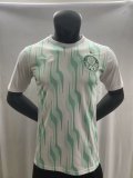 2025 PUMA Palmeiras Pre-Match Training Jersey