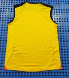 2024/25 Adidas Atletico Mineiro Pre-Match Training Sleeveless Vest