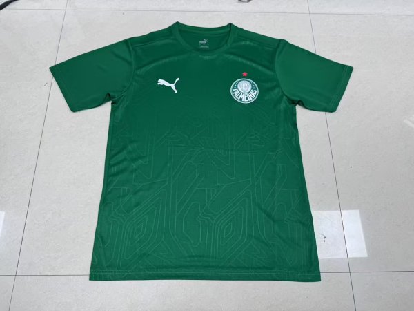 2025/26 Palmeiras Training Jersey