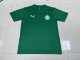 2025/26 Palmeiras Training Jersey