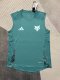 2025/26 Adidas Cruzeiro Training Sleeveless Jersey