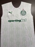 2024/25 Puma Palmeiras Away Training Sleeveless Jersey