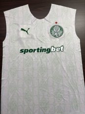 2024/25 Puma Palmeiras Away Training Sleeveless Jersey