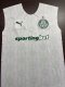 2024/25 Puma Palmeiras Away Training Sleeveless Jersey
