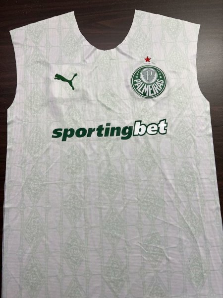 2024/25 Puma Palmeiras Away Training Sleeveless Jersey