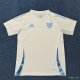 25/26 Cruzeiro Esporte Clube Adidas Training Jersey (Off-White/Light Blue)