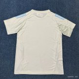 25/26 Cruzeiro Esporte Clube Adidas Training Jersey (Off-White/Light Blue)