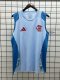2024/25 CR Flamengo Adidas Training Sleeveless Vest (Light Sky Blue/Royal Blue)