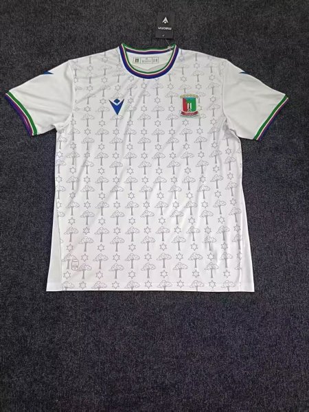 2026/27 Equatorial Guinea Men's Away Replica Jersey