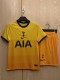 2020/21 Tottenham Hotspur Third Short Sleeve Kit
