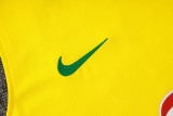 2025/26 Brazil National Team Sleeveless Training Kit