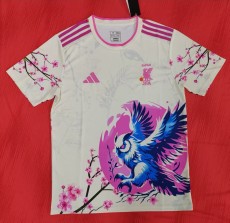 2024/25 Japan National Team Tengu & Cherry Blossom Special Edition Jersey