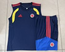 2026/27 Colombia National Team Sleeveless Training Vest (Navy)